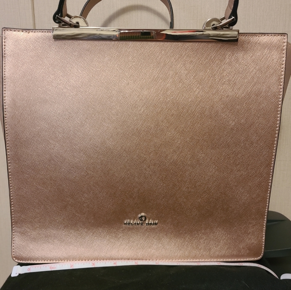 Céline Dion Metallic Rose Gold Bag Pictures DO NOT show the beauty.